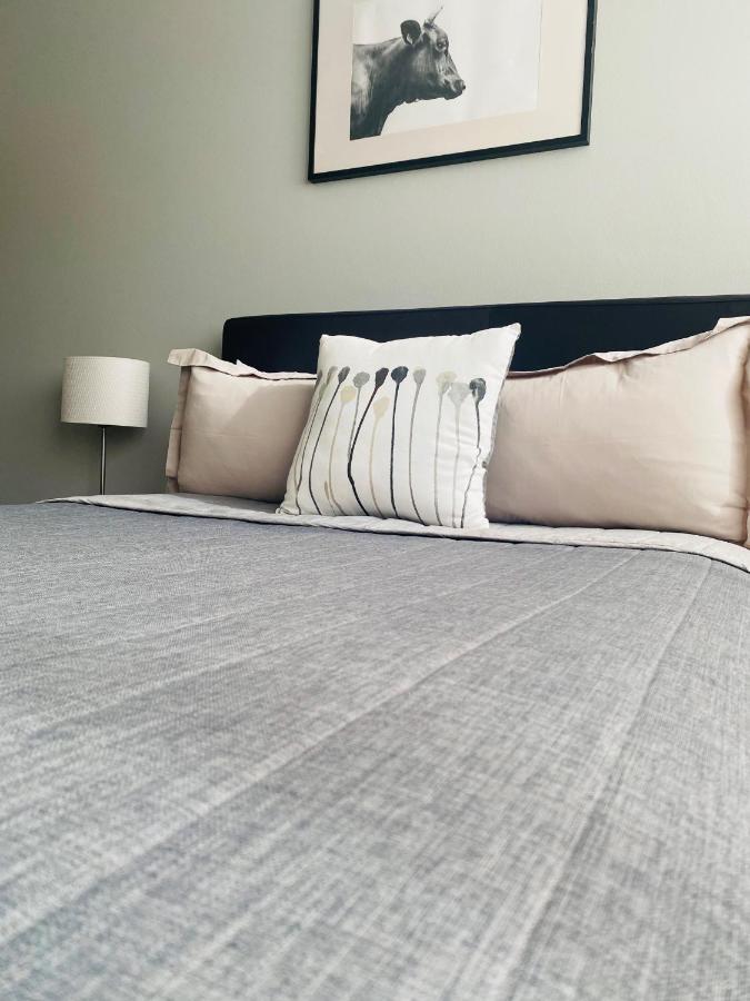 Windsor Castle Hotel East Maitland Bagian luar foto